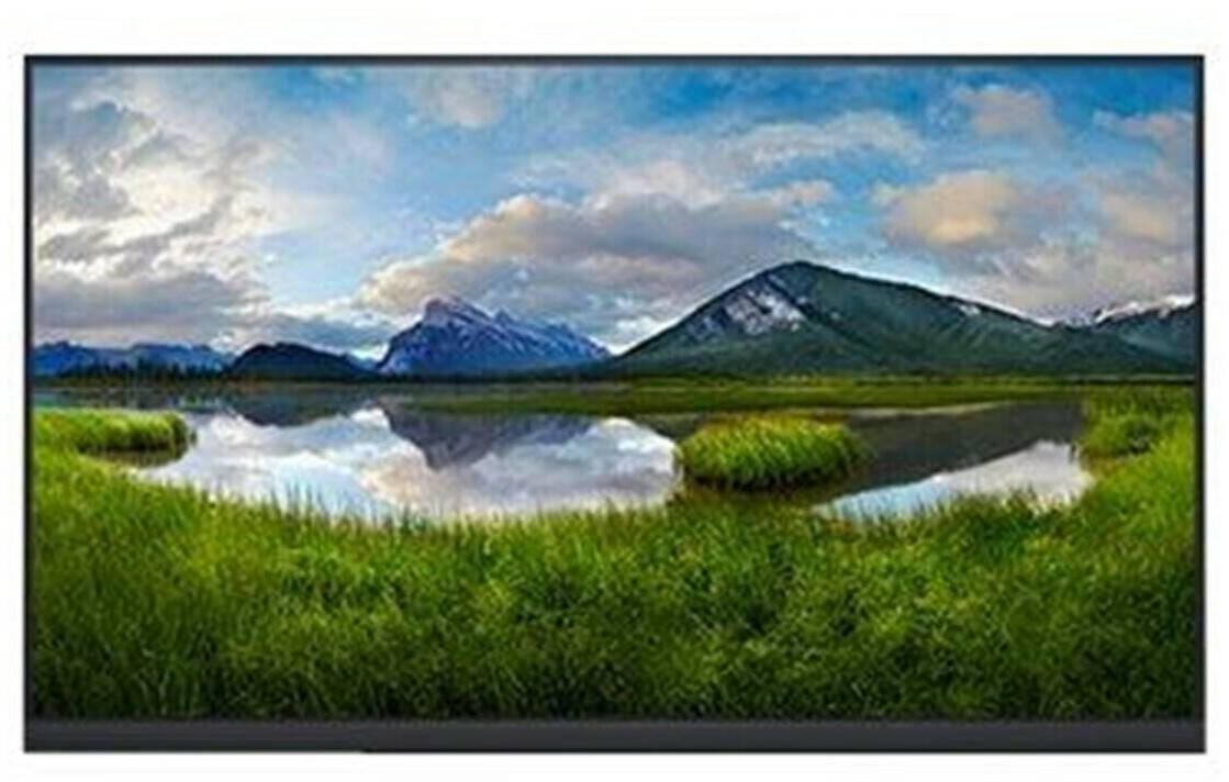 Monitore MediaMarkt Dell P2422HEWO