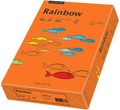 MediaMarkt Papyrus Rainbow Intensiv, A4, 160g/qm, orange (88042461) Druckerpapiere