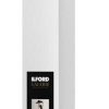 MediaMarkt Ilford Galerie Gold Fibre Pearl 17" (43,2 cm x 15 m) 1 Rolle Druckerpapiere