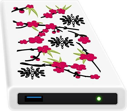 Laufwerke MediaMarkt Digittrade HipDisk LS104 Sakura 2TB